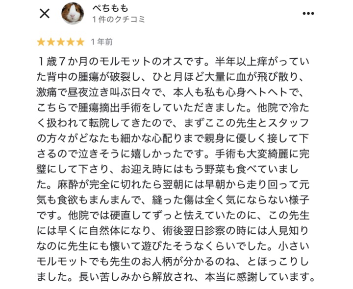 口コミ 10