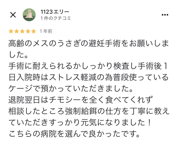 口コミ 13