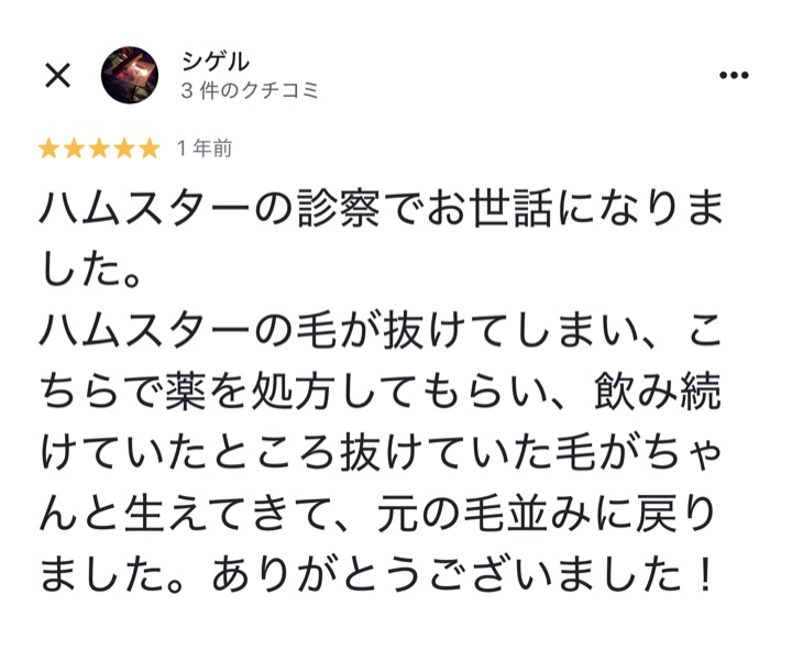 口コミ 16
