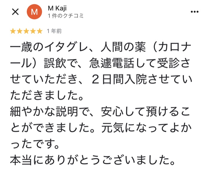 口コミ 17