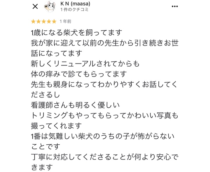 口コミ 18